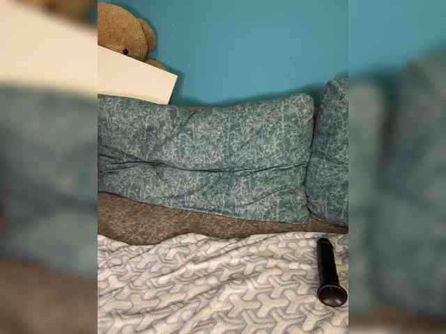 Golden_flower webcam