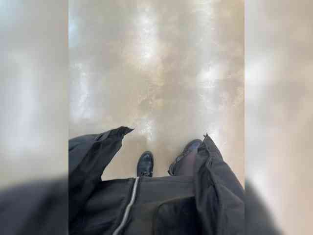 Golden_flower webcam