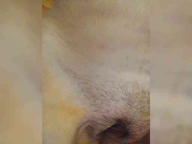 live porn chat Lana503