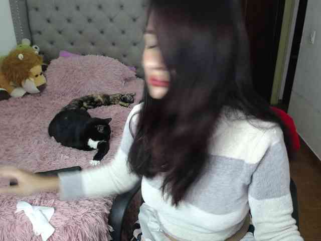 catalinahounn webcam