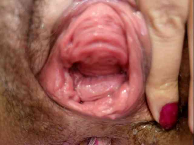 catalinahounn catalinahounn