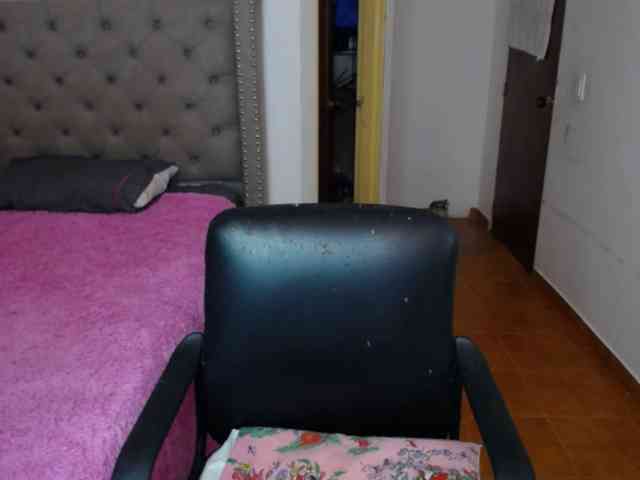 catalinahounn webcam