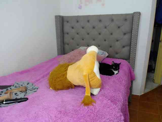 catalinahounn webcam