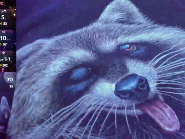 GloriaGrays webcam