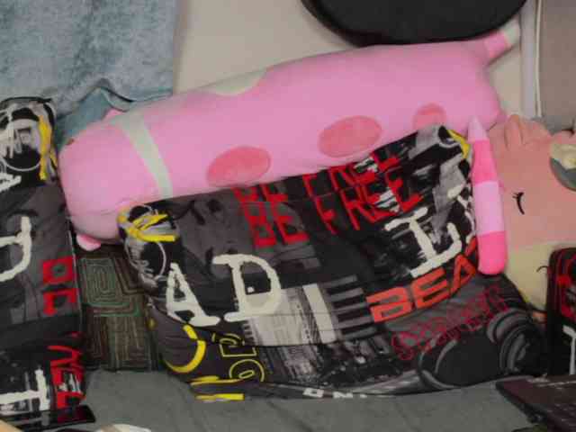 Kamala_Adele webcam