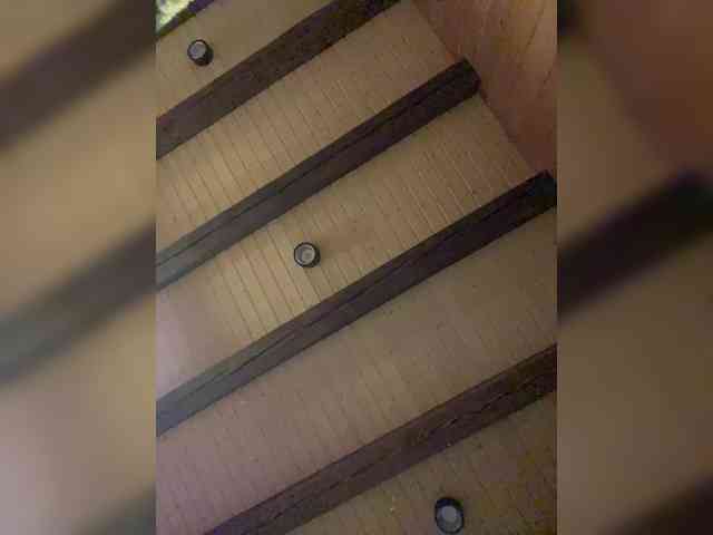 Margo-Sed webcam