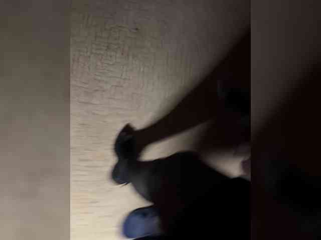 minimalnoise_ webcam