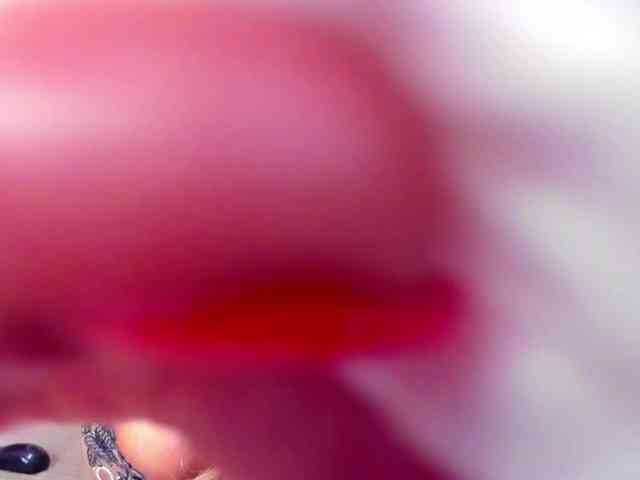 NikkaHotX webcam