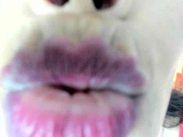 MilfSharoon MilfSharoon