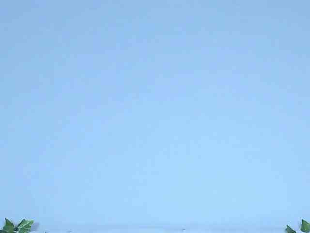 Модель: Excited-Blizzard