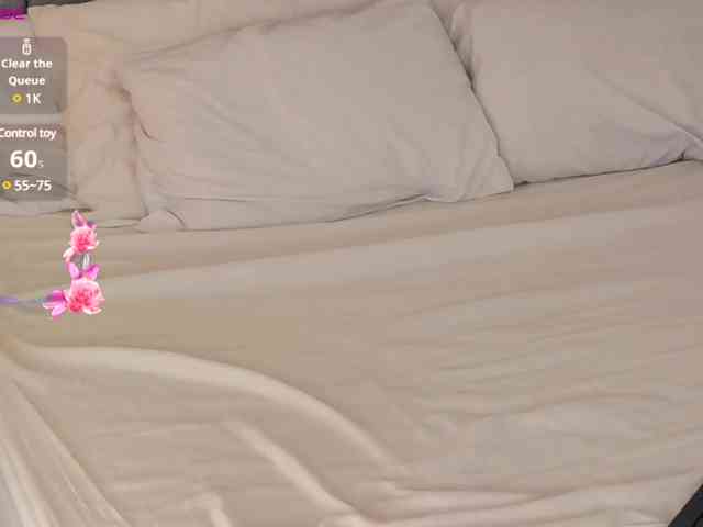 Caralella webcam