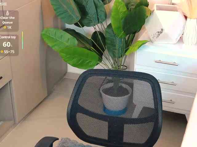 Caralella webcam