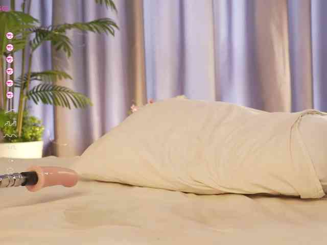 Karollovea webcam