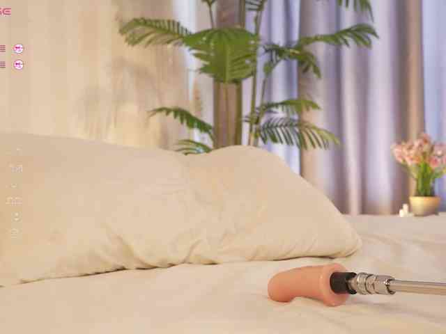 Karollovea webcam