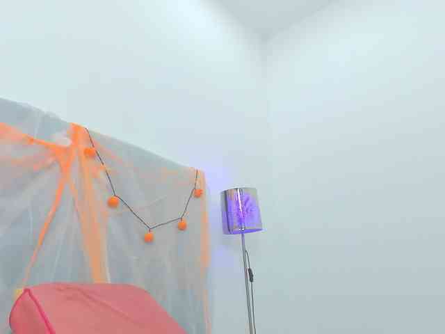 veronicasalas webcam