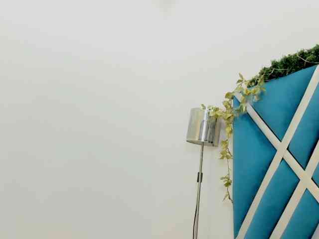 veronicasalas veronicasalas