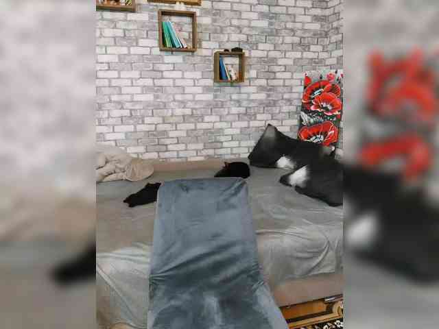 MisterDi-1 MisterDi-1