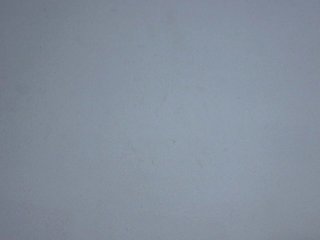 May-sexy Porn Show