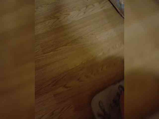 Evvgenia12345 webcam