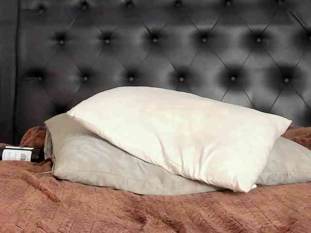 Spicy-shanty Spicy-shanty