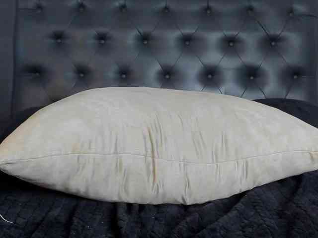 Spicy-jonhson webcam