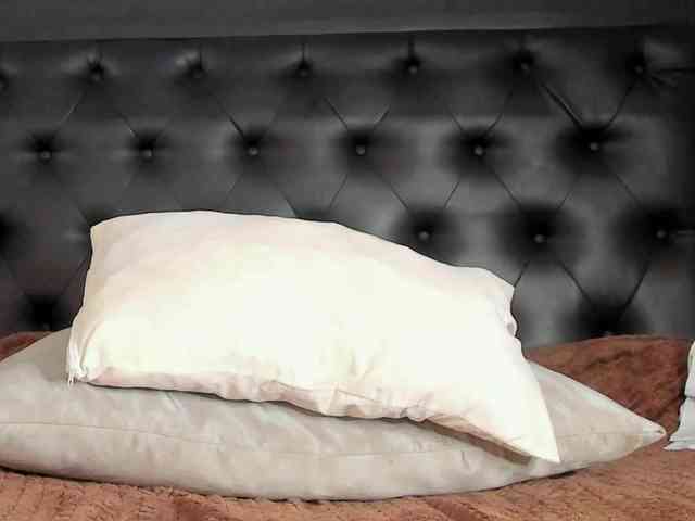 Spicy-shanty Spicy-shanty