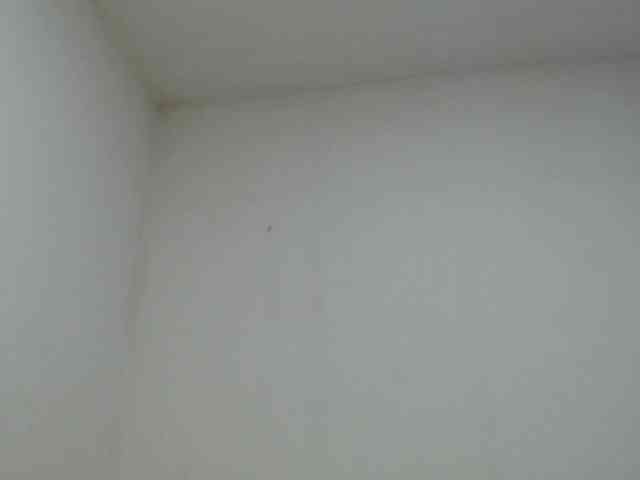 AlinaWoolf webcam