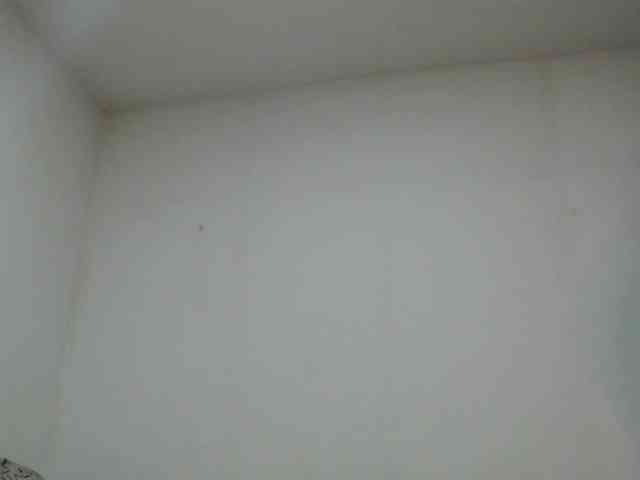 AlinaWoolf webcam