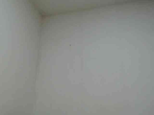 AlinaWoolf webcam