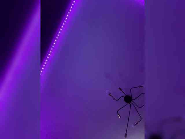 Blue1Curacao Live Webcam on BongaCams