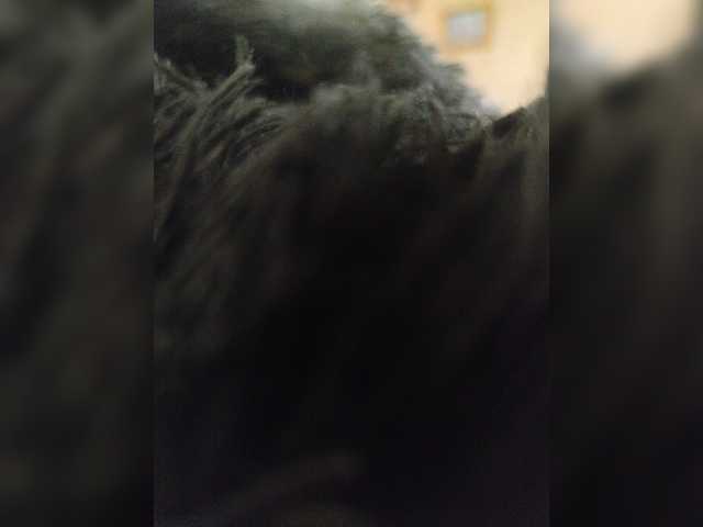 BesTLove-