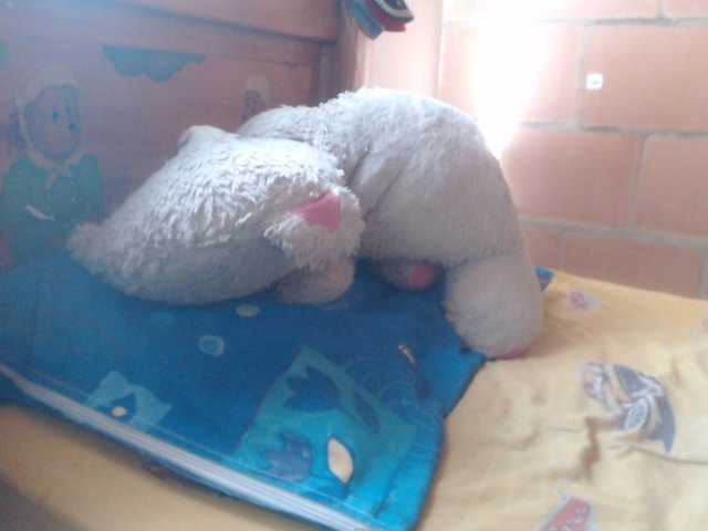 Meganny2023's BongaCams show and profile