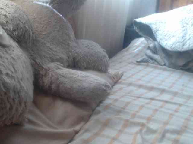 Meganny webcam