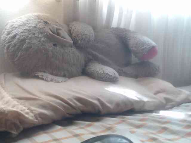 Meganny2023 Meganny2023