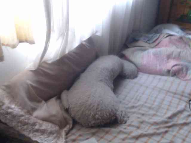 Meganny2023 Meganny2023