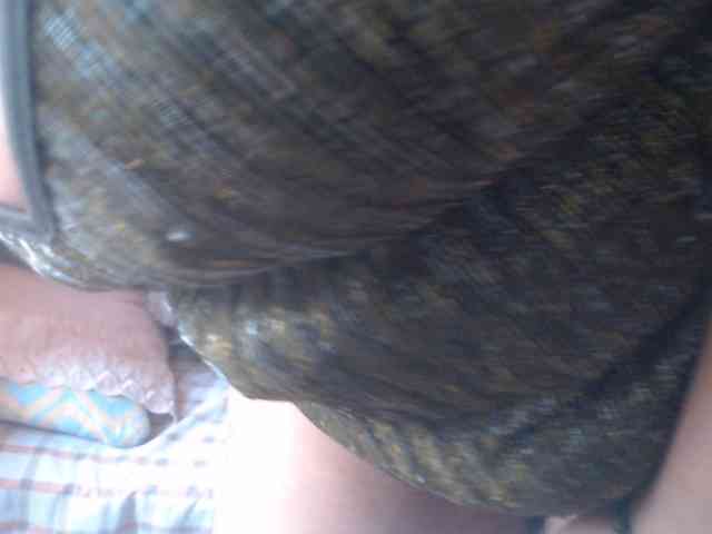 Meganny2023 Meganny2023