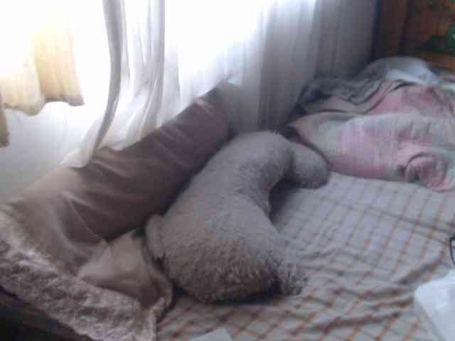 Meganny2023 Meganny2023