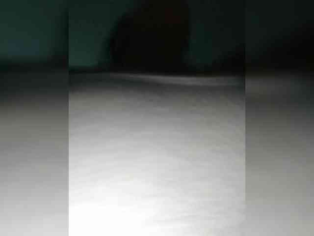 Meganny webcam