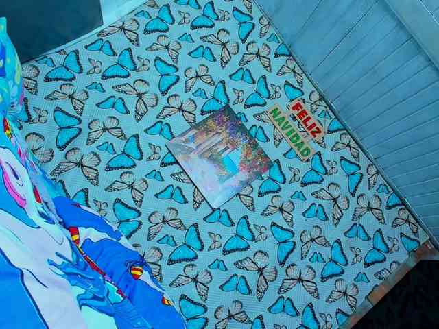 katerine1991 Live Webcam on BongaCams