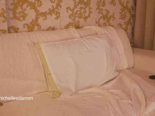 Astriad webcam