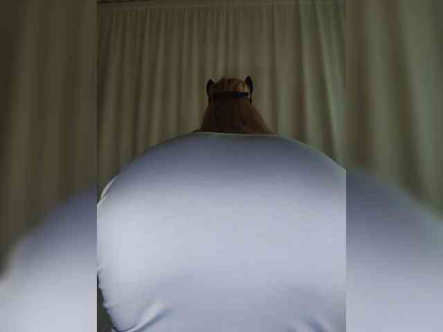 Tssshot webcam