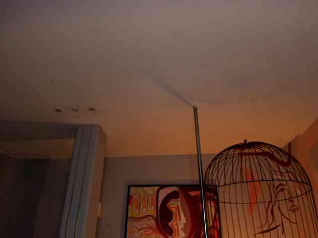 DominiqueVega webcam