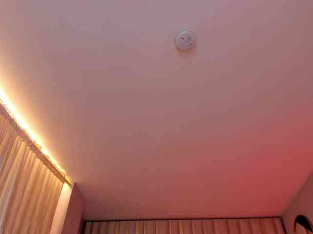 adult web cam DominiqueVega