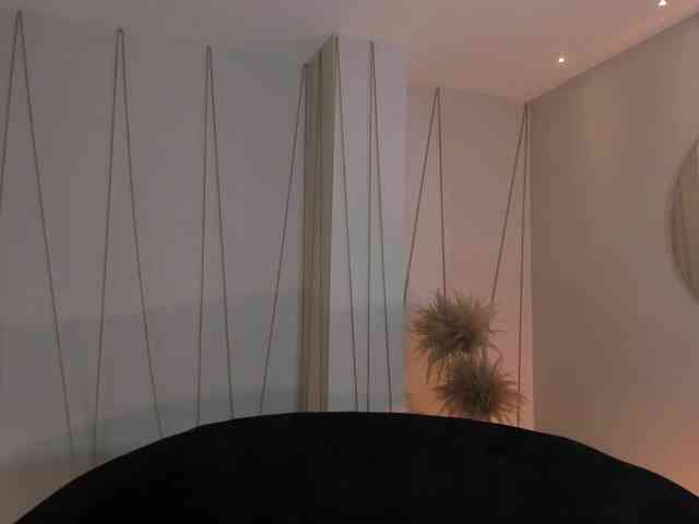 DominiqueVega DominiqueVega