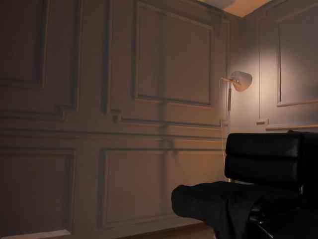 DominiqueVega webcam