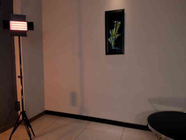 Dominique webcam