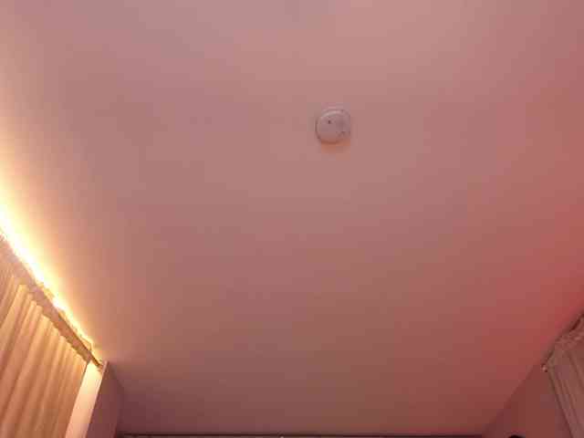 DominiqueVega webcam