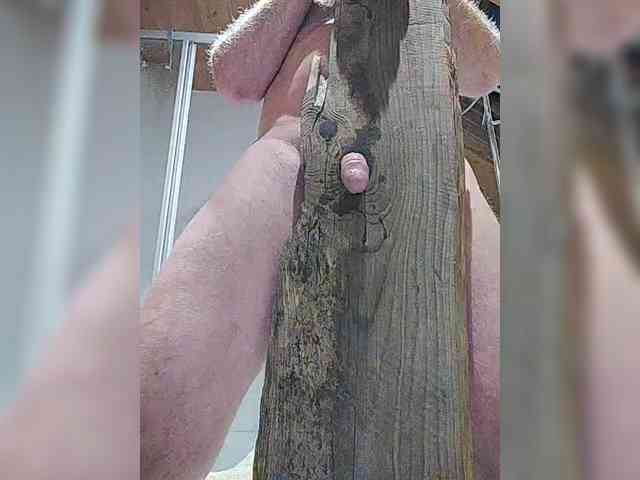 Lichterengelchen Lichterengelchen