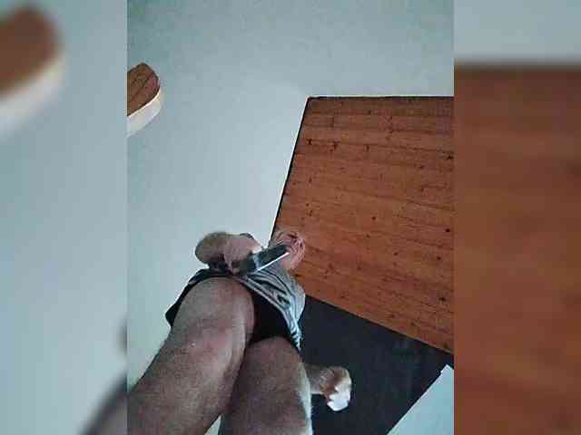 Lichterengelchen Lichterengelchen