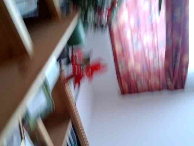 Lichterengelchen Lichterengelchen